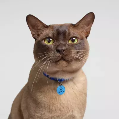 Oscar's Story