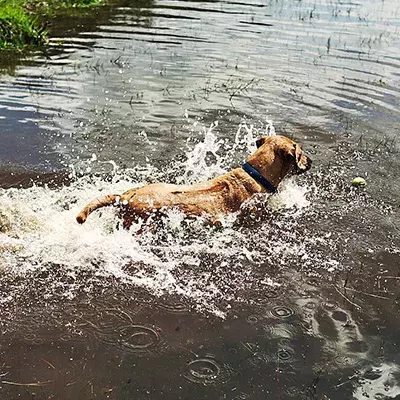 How Hot is too Hot?