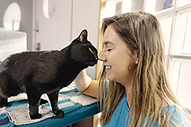 Animal Welfare Private Members’ Bills